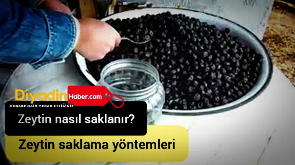 ZEYTİN NASIL SAKLANIR? Zeytin SAKLAMA YÖNTEMLERİ.. 