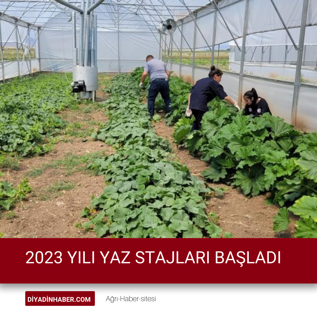 2023 YILI YAZ STAJLARI BAŞLADI.