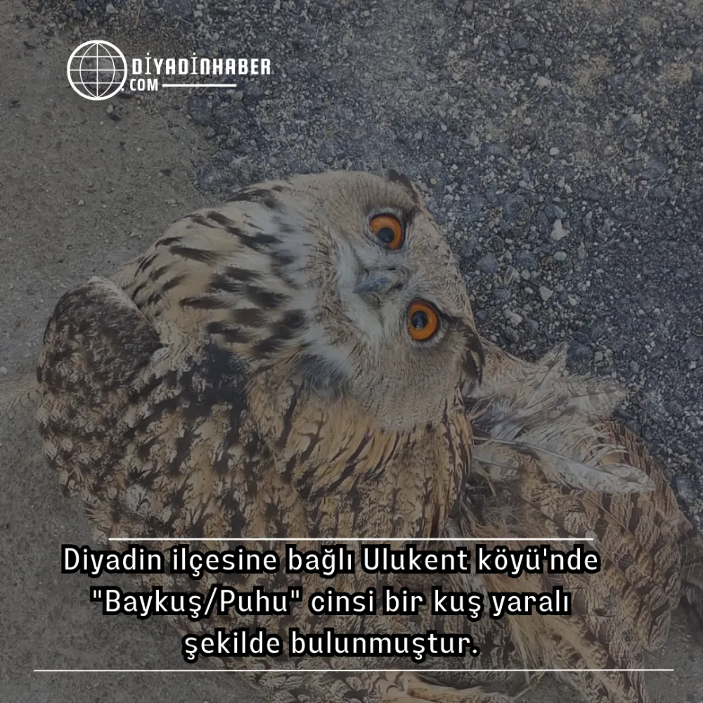Diyadin Ulukent Köyü
