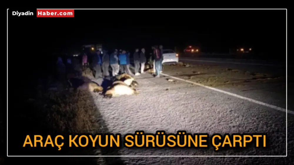 ARAÇ KOYUN SÜRÜSÜNE ÇARPTI 