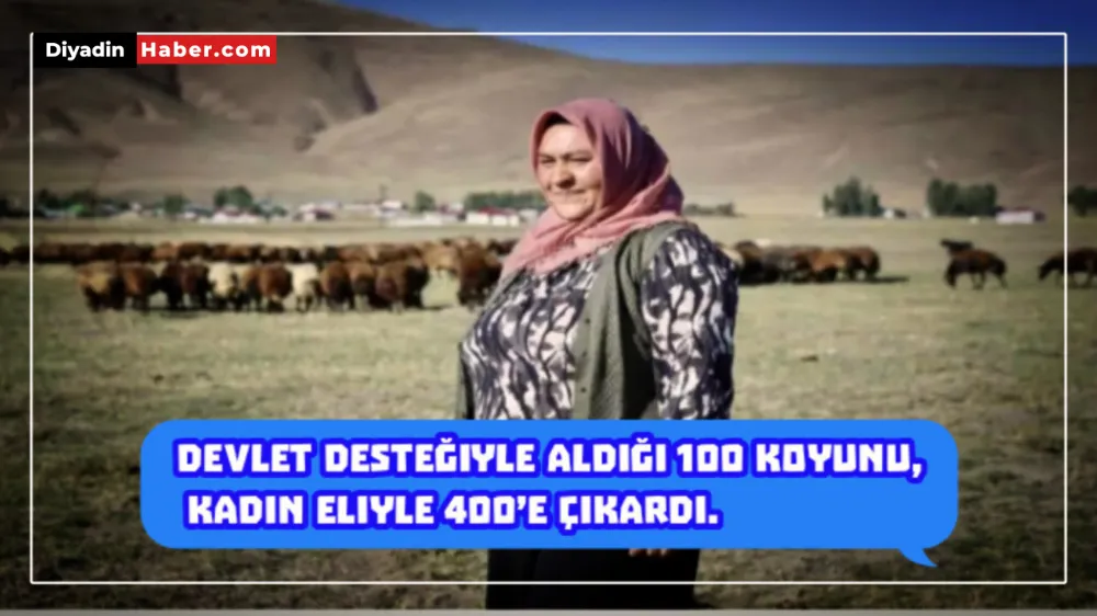 DEVLET DESTEĞİYLE ALDIĞI 100 KOYUNU, KADIN ELİYLE 400’E ÇIKARDI!