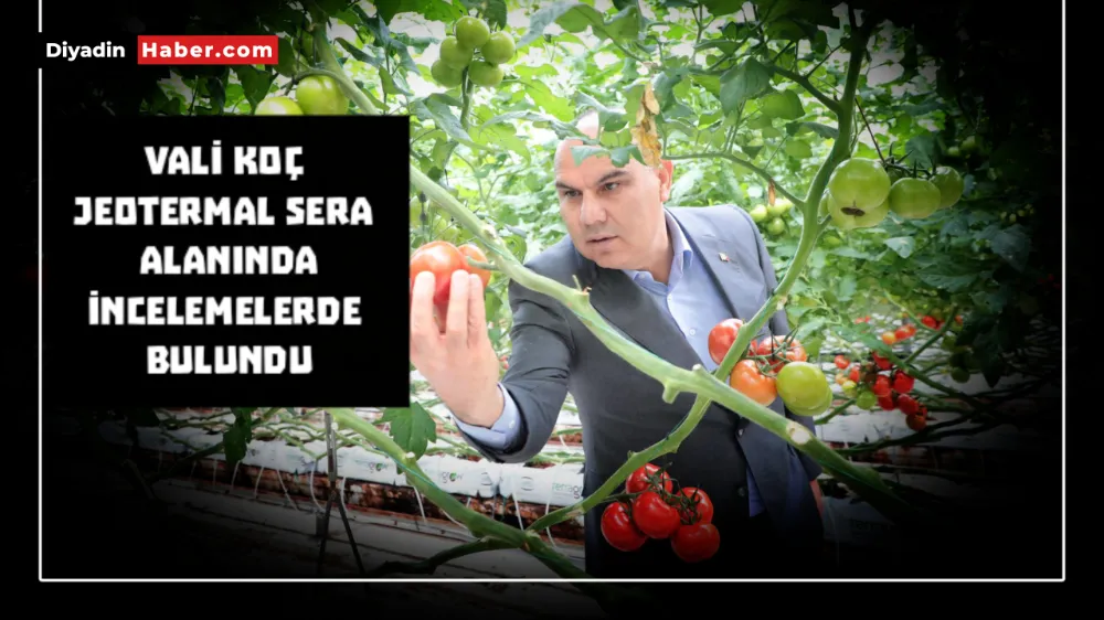 VALİ KOÇ JEOTERMAL SERA ALANINDA İNCELEMELERDE BULUNDU.