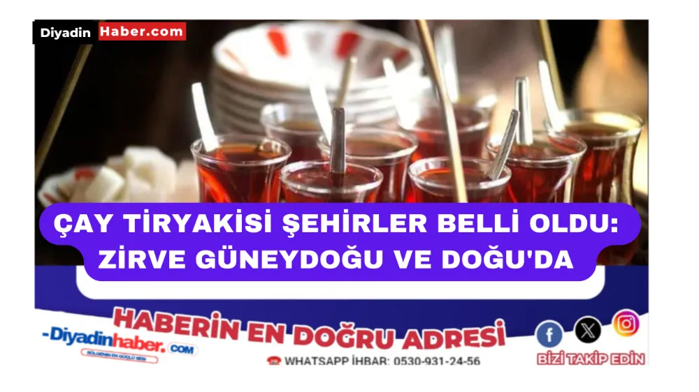 ÇAY TİRYAKİSİ ŞEHİRLER BELLİ OLDU: ZİRVE GÜNEYDOĞU VE DOĞU