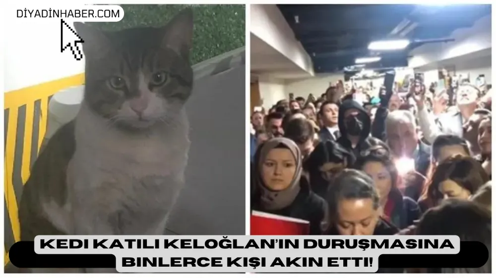 KEDİ KATİLİ KELOĞLAN’IN DURUŞMASINA BİNLERCE KİŞİ AKIN ETTİ!