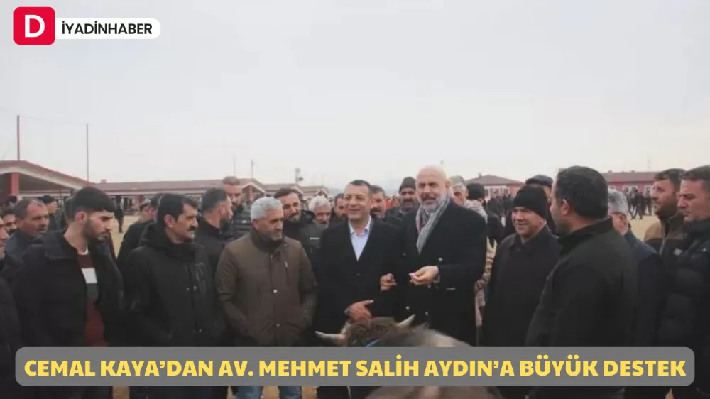 CEMAL KAYA