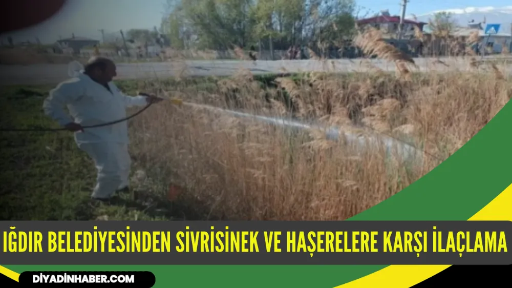 IĞDIR BELEDİYESİNDEN SİVRİSİNEK VE HAŞERELERE KARŞI İLAÇLAMA 