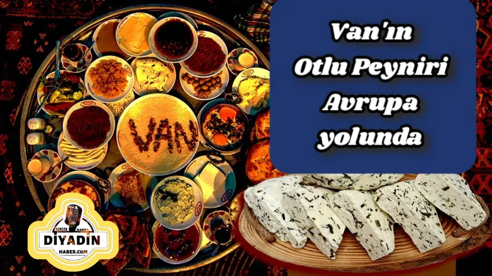 VAN OTLU PEYNİRİ AVRUPA YOLUNDA 