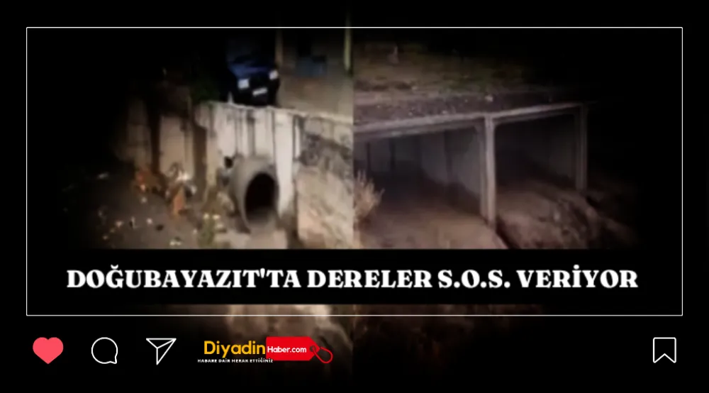 DOĞUBAYAZIT