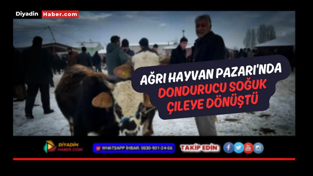 Ağrı Hayvan Pazarı’nda dondurucu soğuk çileye dönüştü.