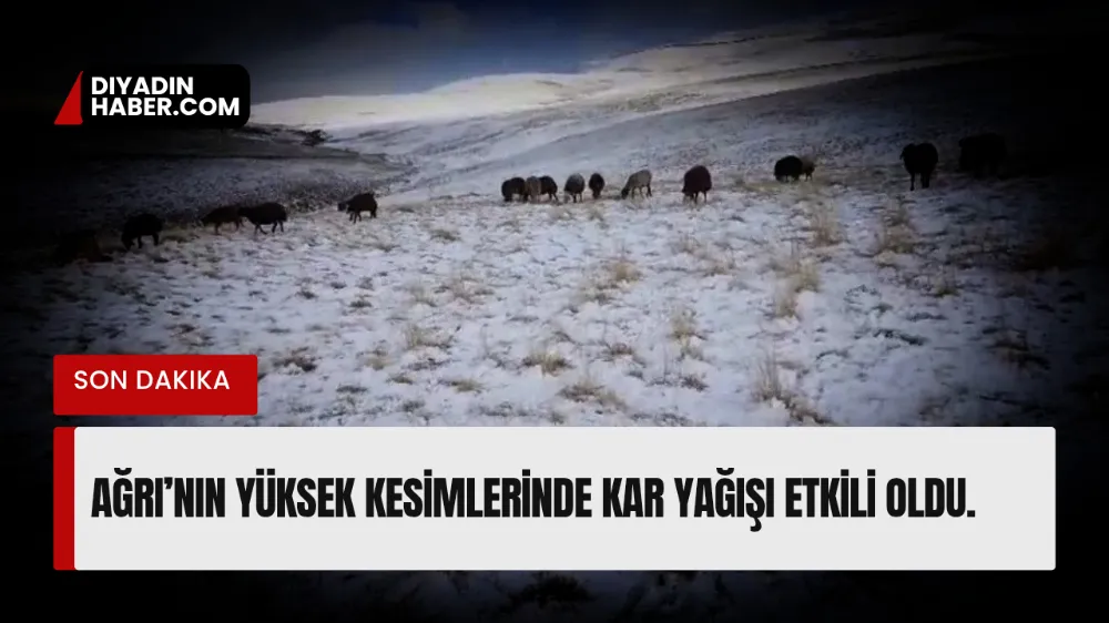 Ağrı’nın yüksek kesimlerinde kar yağışı etkili oldu.