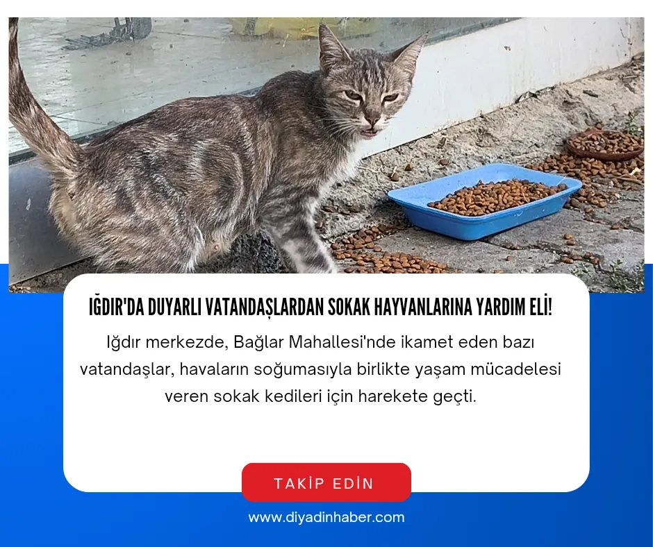 IĞDIR