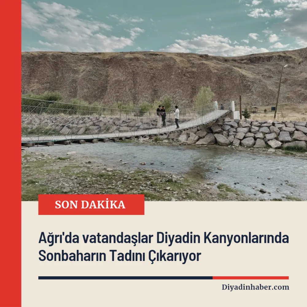 Ağrı