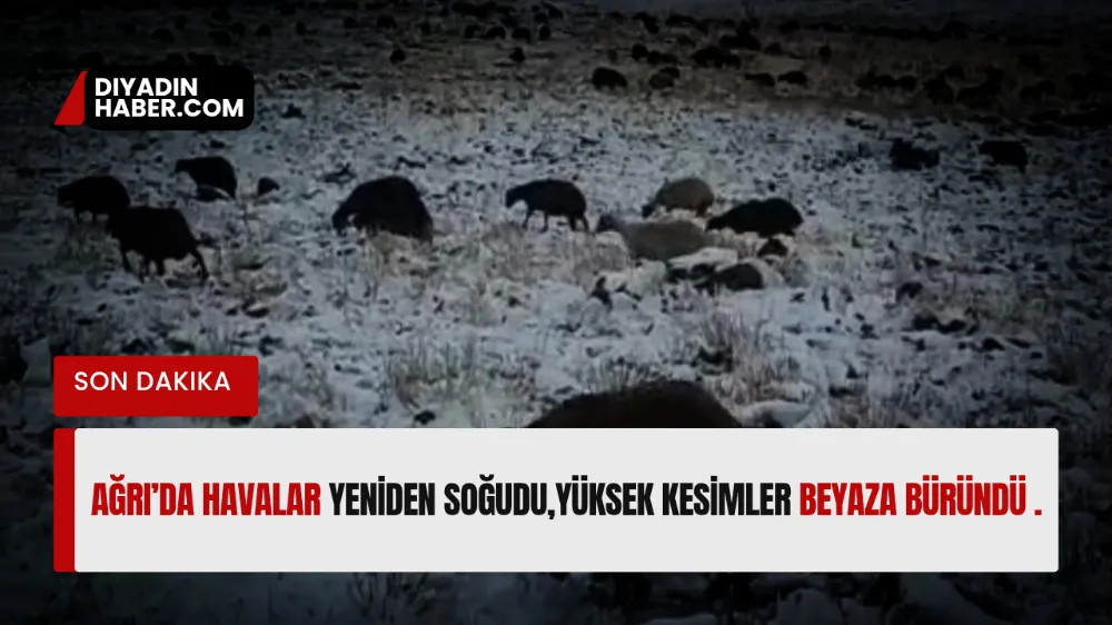 Ağrı’da Havalar Yeniden Soğudu, Yüksek Kesimler Beyaza Büründü.