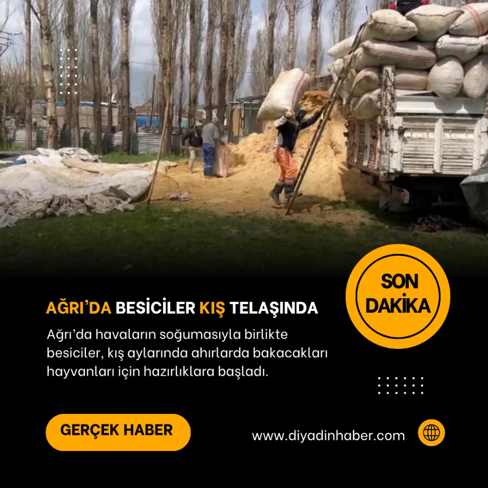 Ağrı’da besiciler kış telaşında