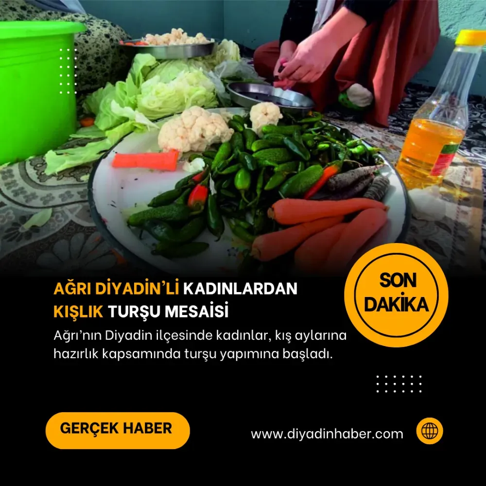 Ağrı Diyadinli Kadınlardan Kışlık Turşu Mesaisi