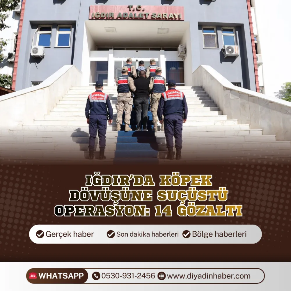 IĞDIR’DA KÖPEK DÖVÜŞÜNE SUÇÜSTÜ OPERASYON: 14 GÖZALTI