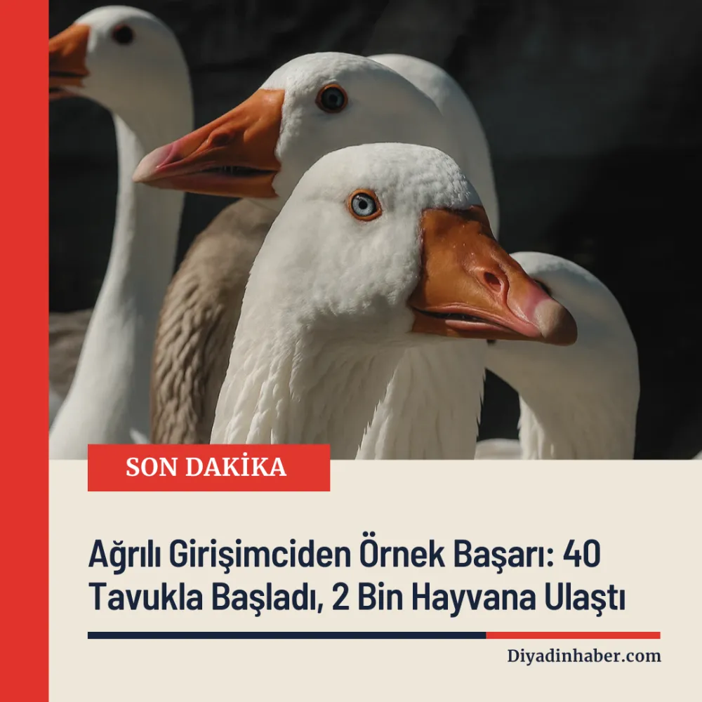 Ağrılı Girişimciden Örnek Başarı: 40 Tavukla Başladı, 2 Bin Hayvana Ulaştı.