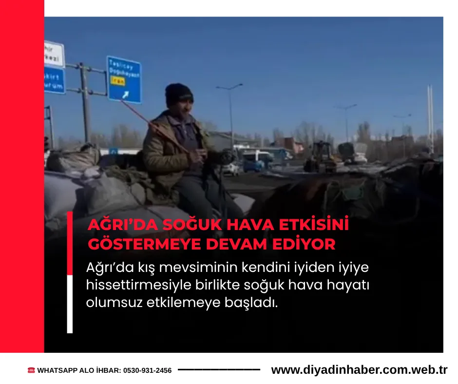 Ağrı’da Soğuk Hava Etkisini Göstermeye Devam Ediyor.