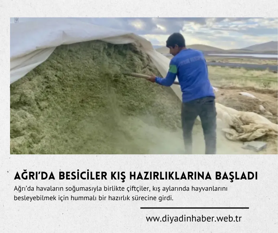 Ağrı’da besiciler kış hazırlıklarına başladı.