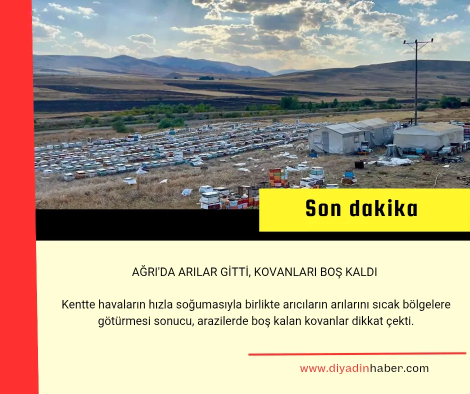 Ağrı’da arılar gitti, kovanları boş kaldı.
