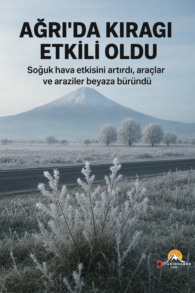 Ağrı’da Kırağı Etkili Oldu.