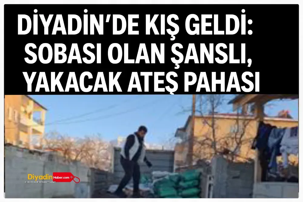 Diyadin’de Kış Geldi: Sobası Olan Şanslı, Yakacak Ateş Pahası