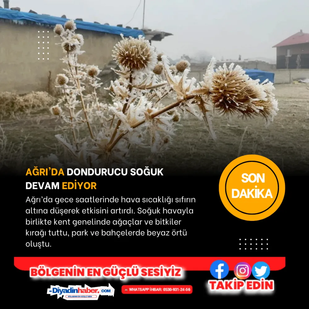 Ağrı’da Dondurucu Soğuk Devam Ediyor.