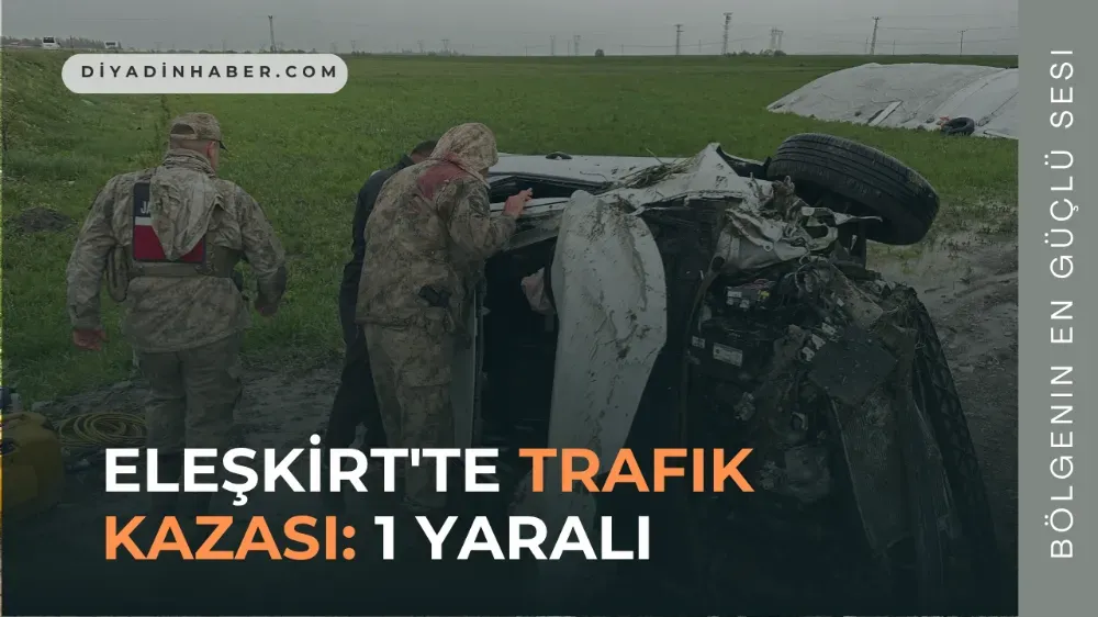 Eleştirt