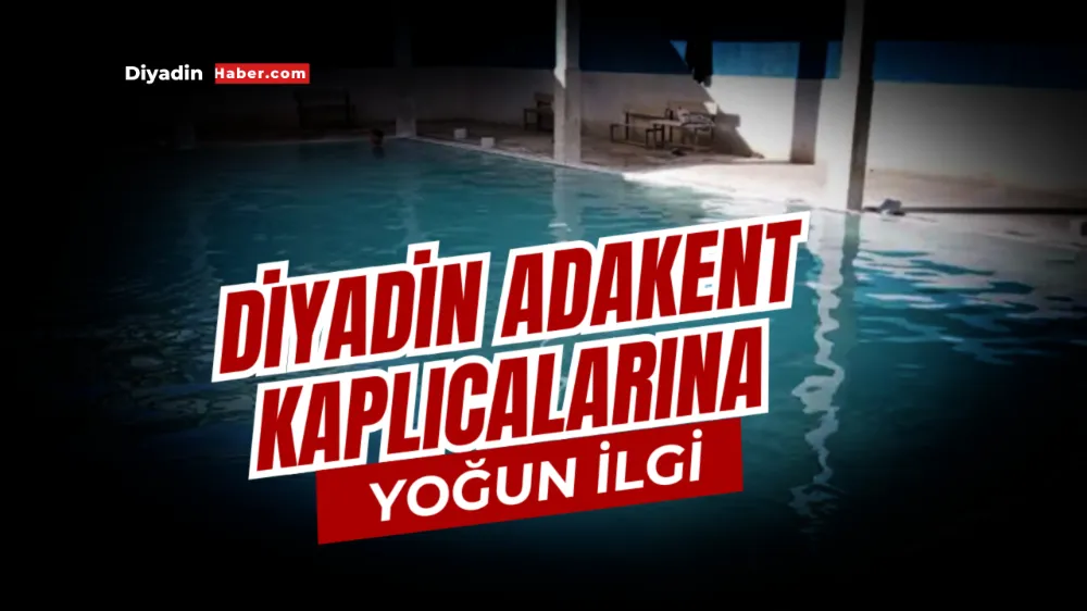 Diyadin Adakent Kaplıcalarına Yoğun İlgi