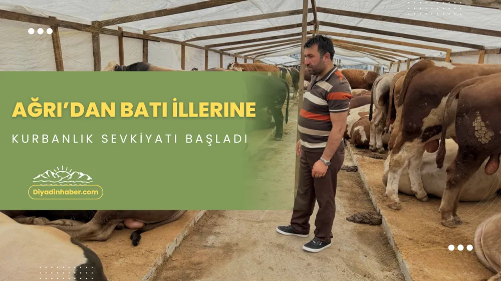Ağrı’dan Batı İllerine Kurbanlık Sevkiyatı Başladı..