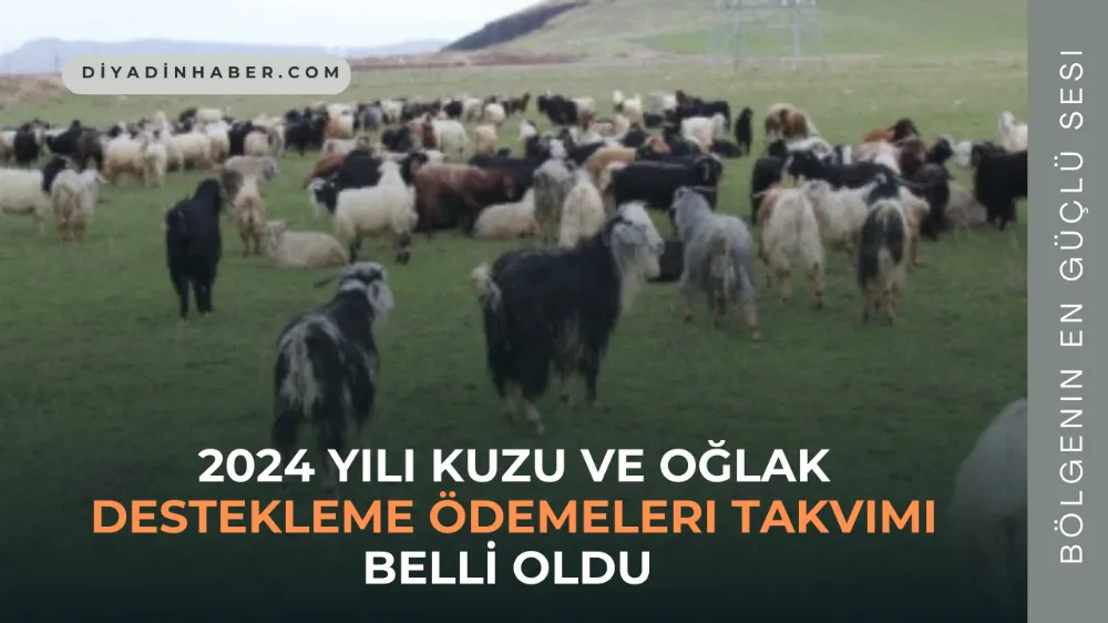 2024 Yılı Kuzu ve Oğlak Destekleme Ödemeleri Takvimi Belli Oldu.