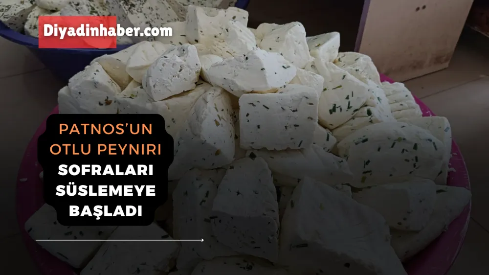 Patnos’un Otlu Peyniri Sofraları Süslemeye Başladı..