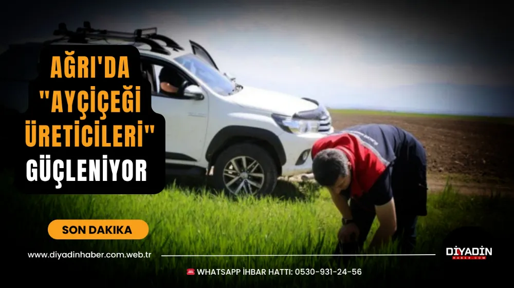 Ağrı’da “Ayçiçeği Üreticileri” Güçleniyor.