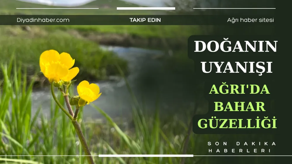 Doğanın Uyanışı, Ağrı’da Bahar Güzelliği