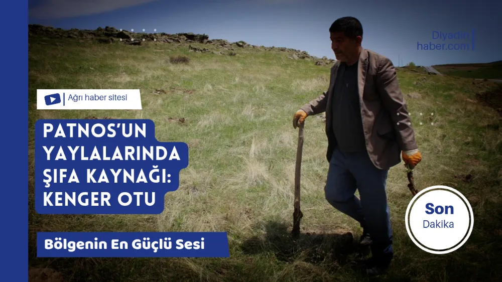 Patnos’un Yaylalarında Şifa Kaynağı: Kenger Otu