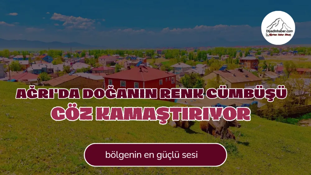 Ağrı’da Doğanın Renk Cümbüşü Göz Kamaştırıyor.