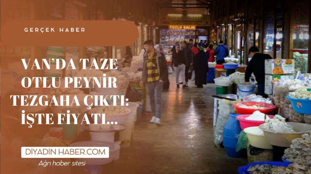Van’da taze otlu peynir tezgaha çıktı: İşte fiyatı…