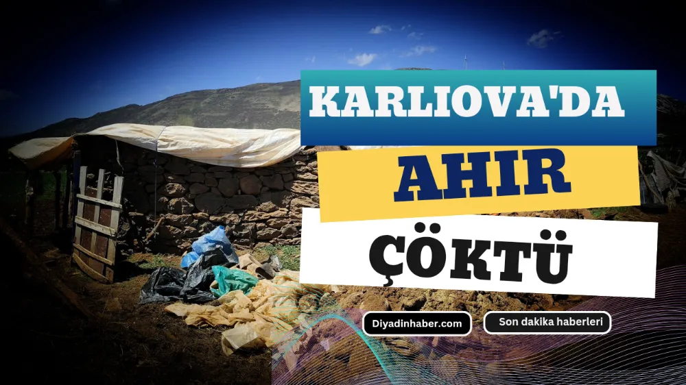 Karlıova