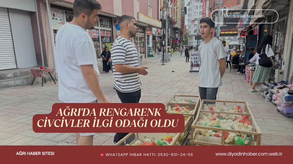Ağrı’da Rengarenk Civcivler İlgi Odağı Oldu.