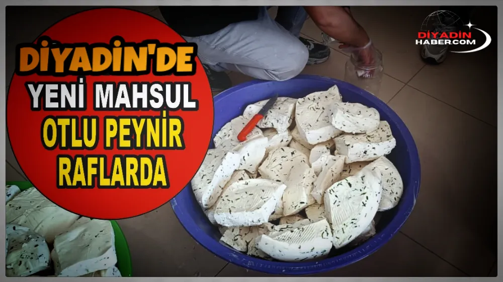 Diyadin