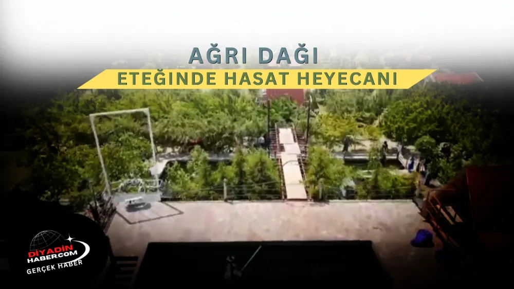 Ağrı Dağı Eteğinde Hasat Heyecanı