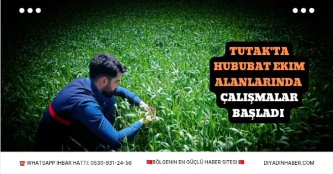 Tutak’ta Hububat Ekim Alanlarında Çalışmalar Başladı.