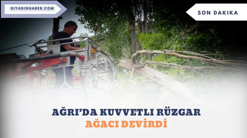 Ağrı’da Kuvvetli Rüzgar Ağacı Devirdi.