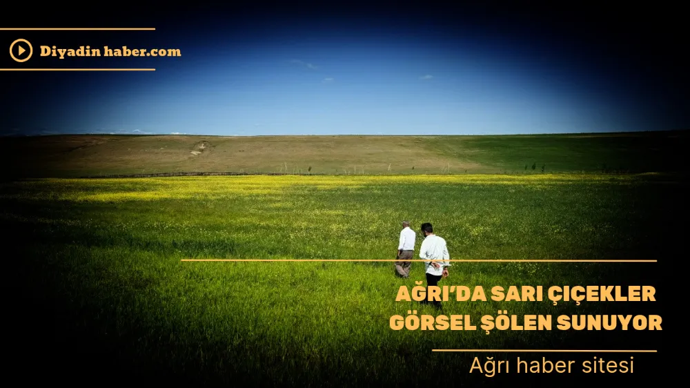 Ağrı’da Sarı Çiçekler Görsel Şölen Sunuyor.