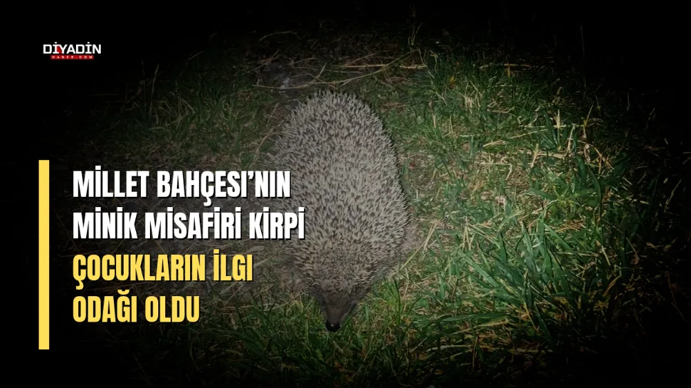 Millet Bahçesi’nin Minik Misafiri Kirpi, Çocukların İlgi Odağı Oldu.