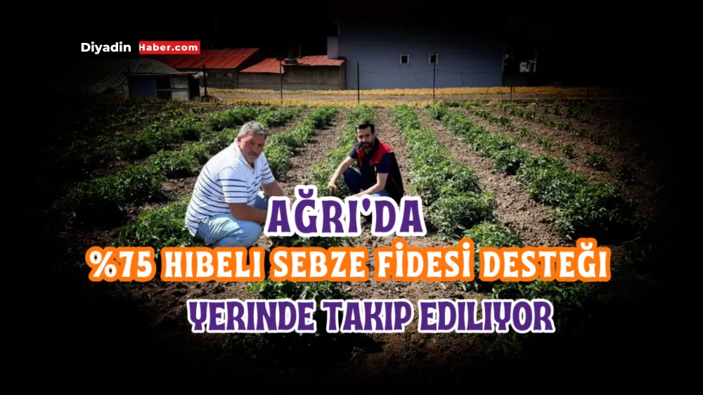 Ağrı’da %75 Hibeli Sebze Fidesi Desteği Yerinde Takip Ediliyor.