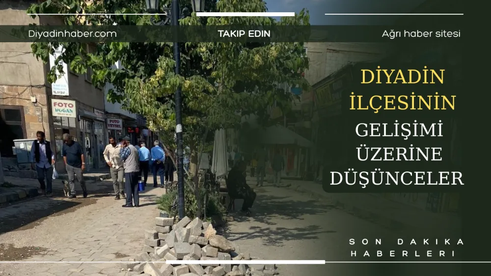 Diyadin İlçesinin Gelişimi Üzerine Düşünceler