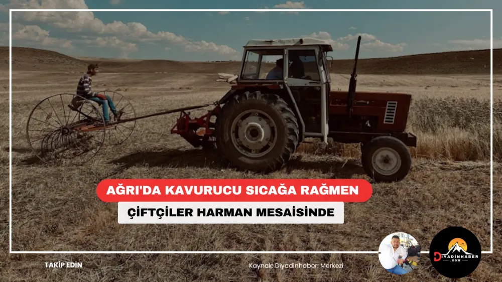 Ağrı’da Kavurucu Sıcağa Rağmen Çiftçiler Harman Mesaisinde