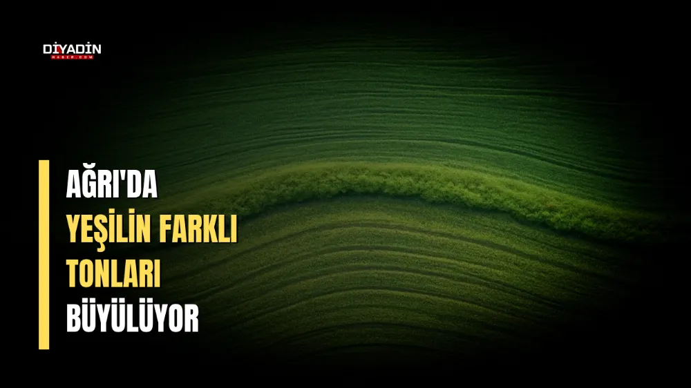 Ağrı’da Yeşilin Farklı Tonları Büyülüyor.
