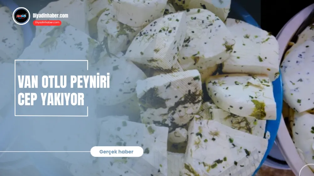 Van Otlu Peyniri cep yakıyor